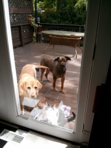 Holly, Emmy and Marco ready to come inside.
