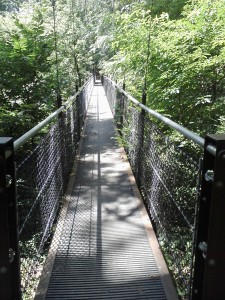 The bouncy suspension bridge
